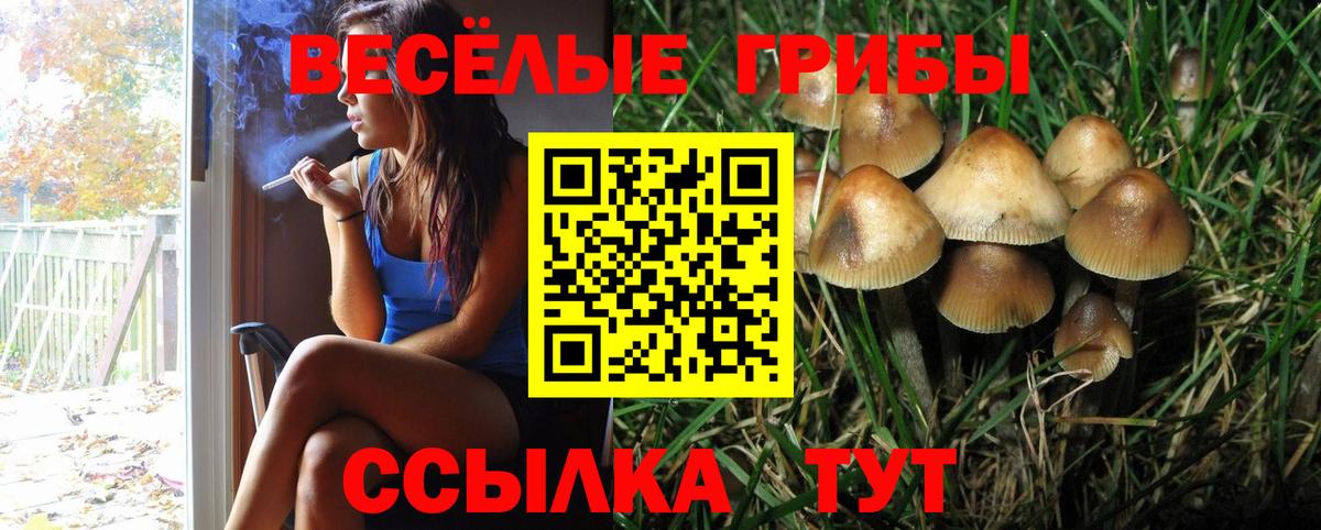 Псилоцибиновые грибы MAGIC MUSHROOMS  Вход с VPN  Псилоцибиновые грибы Magic Shrooms  Ногинск 